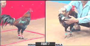 Trận Đấu Nhanh Nhất Hôm Nay Tại Giải CPC3 - Trận 7 CPC3 27/12/2024