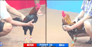 Trận Đầu Tiên Anh Hưng Cần Thơ Đá Giải - Trận 32 CPC3 27/12/2024