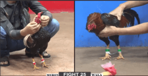 Bảo Sting Bị Dí Bạc Và Cái Kết Thảm Của Kẻ To Gan - Trận 25 CPC2 22/12/2024