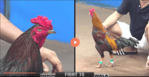 Trận Đấu Siêu Kinh Điển Xổ 1 Tỷ Của Mạnh Bến Tre - Trận 15 CPC3 8/7/2024