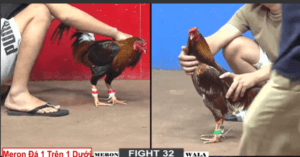 Bảo Sting Chồng Độ Gặp Tư Mã Ý Và Cái Kết - Trận 32 CPC2 22/12/2024