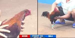 Trận Chung Kết Đưa Anh Hưng Cần Thơ Vô Địch - Trận 55 CPC3 27/12/2024