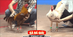 Trùm Thế Giới Nhận Tiếp Trận Thua Cay Đắng Tại Giải - Trận 27 CPC2 22/12/2024