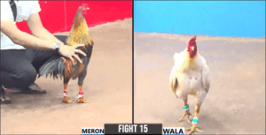 Trận Đấu Hơn Nửa Tỷ Hôm Nay Của Duyên Ti - Trận 15 CPC3 16/12/2024