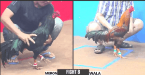 Đảm Sóc Trăng Đụng Minh Bến Tre Tại Giải CPC3 - Trận 8 CPC3 27/12/2024