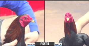 Trận Đầu Tiên Của Anh Hưng Cần Thơ Hôm Nay - Trận 5 CPC3 17/11/2024