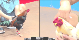 Điều Cọp Bé Năm Gồng Cứu Chủ Tới Phút 90 Quá Hay - Trận 7 CPC3 17/12/2024