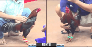 Trận Đấu Nửa Tỷ Đầu Tiên Của Hưng Cần Thơ - Trận 8 CPC3 17/12/2024