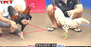 Trận Đấu Lịch Sử Năm 2024 Giữa Duyên Ti Và Bảo Sting - Trận 16 CPC1 20/06/2024