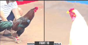 Thắng Bến Tre Mở Đầu Chuỗi Hủy Diệt Hôm Nay - Trận 10 CPC3 17/12/2024