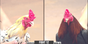 Dự Bảo Lộc Tung Cọp Đầu Tiên Hôm Nay - Trận 12 CPC3 17/12/2024