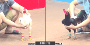 Anh Tuấn Hóc Môn Dạy Bé Năm Bài Học - Trận 18 CPC3 17/12/2024