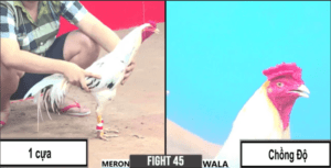 Dũng Sài Gòn Chấp Chú Khanh Chủ Bồ Tới 9 Chấm - Trận 45 CPC3 24/12/2024