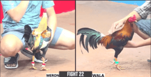 Bé Năm Chấp Ngông Anh Hai Vũ Mèo Và Cái Kết - Trận 22 CPC3 17/12/2024