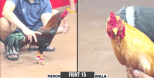 Trận Đấu Nhanh Nhất Thomo Hôm Nay - Trận 15 CPC2 25/12/2024