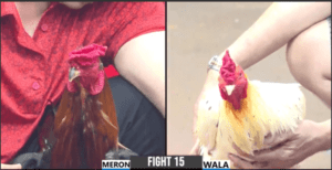 Má Minh Nhà Vua Siêu Cup Đón Tiếp Ông Thầy - Trận 15 CPC3 15/12/2024