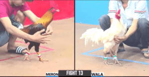 Hải Gò Công Ra Sân Trận Đầu Tiên Đụng Cổ Đông - Trận 13 CPC3 29/12/2024