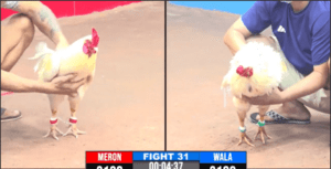 Trận Đầu Tiên Mít Trà Cú Tham Dự Giải Hôm Nay - Trận 31 CPC3 17/12/2024