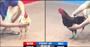 Mít Trà Cú Đụng Má Minh Nhà Vua Siêu Cup - Trận 40 CPC3 17/12/2024