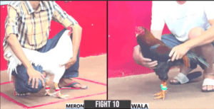 Anh Đảm Sóc Trăng Ra Trận Xổ Lớn Nhận Kết Thảm - Trận 10 CPC3 26/12/2024