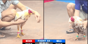 Mít Trà Cú Tung Ra Đòn Chí Mạng Tự Hủy Hôm Nay - Trận 44 CPC3 17/12/2024