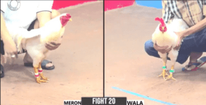 Trận Xổ Lớn Nhất Thứ 2 Tại Thomo Hôm Nay - Trận 20 CPC3 26/12/2024