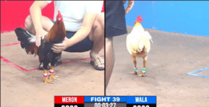 Dự Bảo Lộc Đụng Đối Thủ Lớn Trong Đá Giải - Trận 39 CPC 17/12/2024