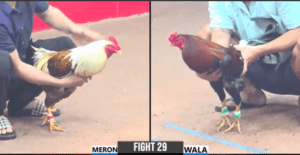 Trận Thua Nhanh Nhất Của Bảo Sting Tại Thomo - Trận 29 CPC3 26/12/2024