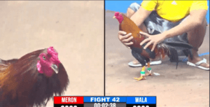 Tèo Bảo Lộc Gặp Đối Thủ Lớn Tại Giải Hôm Nay - Trận 42 CPC3 17/12/2024