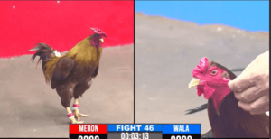 Cuộc Chiến Long Tranh Hổ Đấu Hôm Nay Tại Giải - Trận 46 CPC3 17/12/2024