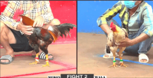 Hành Trình Lấy Iphone 16 Pro Max Của Anh Tẹt - Trận 2 CPC2 27/12/2024