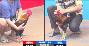 Khởi Đầu Hành Trình Lấy Cup Của Anh Da Long An - Trận 34 CPC3 17/12/2024