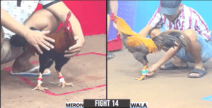 Idol Quang Bình Dương Thua Đau Đớn Trận Này - Trận 14 CPC3 27/12/2024