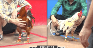 Trận Cuối Cùng Giúp Anh Tẹt Vĩnh Long Giành Iphone - Trận 11 CPC2 27/12/2024