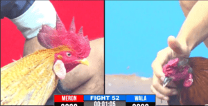 Trận Chung Kết Siêu Kinh Điển Hôm Nay - Trận 52 CPC3 17/12/2024