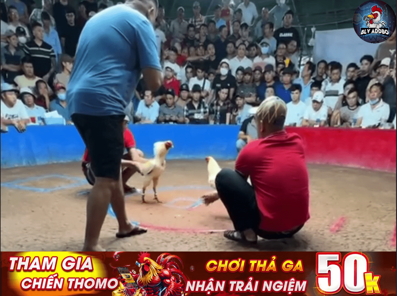 Nhân Cần Thơ Lại Tiếp Tục Khiến Sở Lưu Hương Bẻ Mặt - Bồ Hoa Lư 09/12/2024