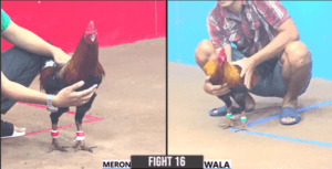 Hưng Cần Thơ Đưa Gà Cho BLV Cu Đen Ra Trận - Trận 16 CPC3 27/12/2024