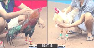 Đảm Sóc Trăng Đưa Thắng Bến Tre Về Dĩ Vãng - Trận 18 CPC3 27/12/2024