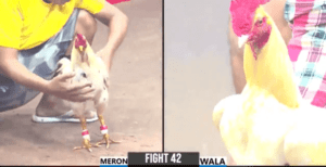 Trận Duy Nhất Của Duyên Ti Hôm Nay Nhận Kết Đắng - Trận 42 CPC3 22/12/2024