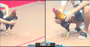 Hưng Cần Thơ Đụng Phải Cổ Đông Bồ Dũng Sài Gòn - Trận 22 CPC3 27/12/2024