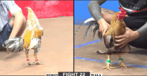 Bảo Sting Gặp Nhà Vô Địch Giải Cuối Năm 2024 - Trận 22 CPC2 5/1/2025