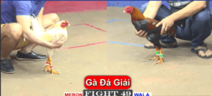 Trận Chung Kết Giải Derby Đầy Kịch Tính - Trận 49 CPC1 6/3/2025