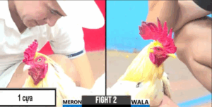 Đen Vũng Tàu Túng Quá Làm Liều Chấp 9 Chấm - Trận 2 CPC3 28/5/2025