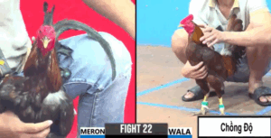 Sĩ Bình Dương Chồng Độ Gặp Đối Thủ Lớn - Trận 22 CPC3 27/5/2025