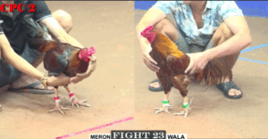 Trận 23 CPC3 29/6/2025 - Phu Phu Hạ Tùng Mìn Trận Thắng Duy Nhất