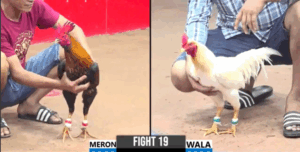 Trận 19 CPC3 29/6/2025 - Nu Đồng Tháp Trổ Tài Tại Thomo