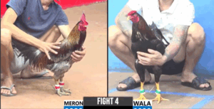 Trận 4 CPC3 30/7/2025 - Xám Thần Của Anh Ton Không Làm Anh Em Thất Vọng