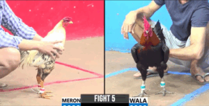 Trận 5 CPC3 18/7/2025 - Ton Tiền Giang Dí Bạc Và Cái Kết