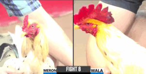 Trận 8 CPC3 18/7/2025 - Má Minh Bị Quang Vũng Tàu Đưa Đi Xa