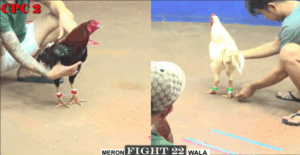 Trận 22 CPC2 20/7/2025 - Bảo Sting Tiễn Anh Tùng Hóc Môn Đi Xa